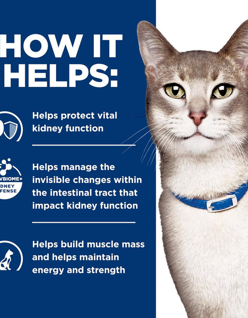 Load image into Gallery viewer, Hill'S Prescription Diet K/D Kidney Care Ocean Fish Dry Cat Food, Veterinary Diet, 4 Lb. Bag
